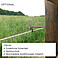 Koppelzaun kesseldruckimprgniert salzbraun, 2 oder 3 Riegel, Hhe bis 1,50/1,60m