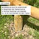 Koppelzaun kesseldruckimprgniert salzbraun, 2 oder 3 Riegel, Hhe bis 1,50/1,60m