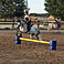 CombiJump Cavalettiblock 6er, 8er oder 10er Set