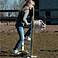 Hobby Horse Hindernis - Flower