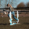 Hobby Horse Hindernis - Wellen