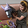 Hobby Horse Schabracke und Fliegenohren