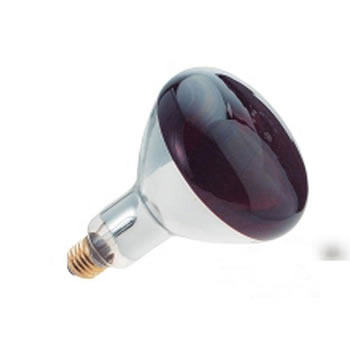Ersatzlampe Infrarot für Pferdesolarium