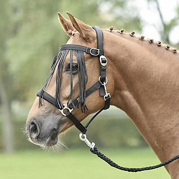 Busse Fliegenfransen mit Schnalle