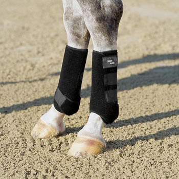 Eskadron Pro Dressage Gamaschen hinten