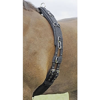 Longiergurt Profi Soft