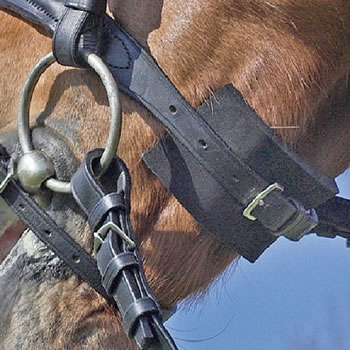 Busse Trensen-Pad EVERLINE