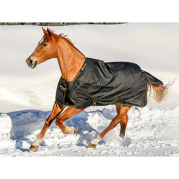 Bucas Weidedecke Irish Turnout