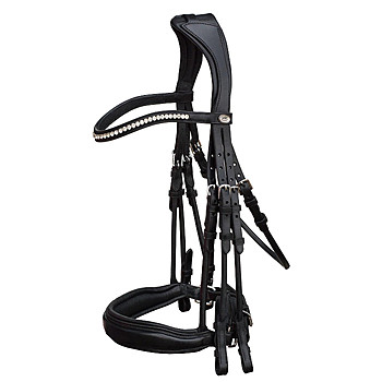 Schockemhle Kandare Venice