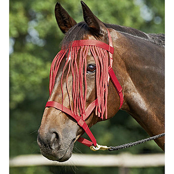 Busse Weidehalfter mit Fransen