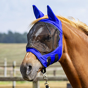 Pony Zubehor Kaufen Hofmeister Pferdesport