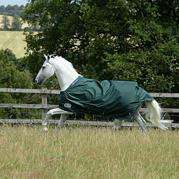 Bucas Weidedecke Green-Line Turnout