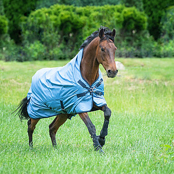 Busse Weidedecke Rain-Dear 00