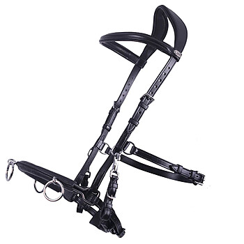 Kappzaum Cavesson Leder