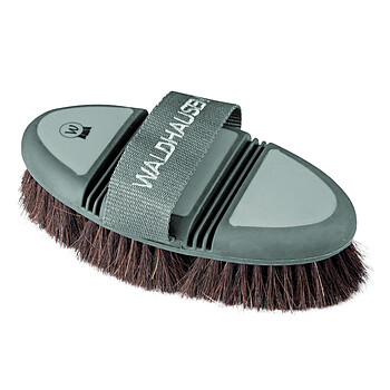 FLEX Kard�tsche Rosshaar