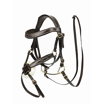 Hobby Horse Trense Mexikanisch