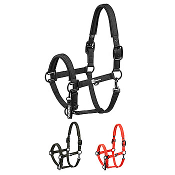 Eskadron Halfter SPARKLE DOUBLE PIN