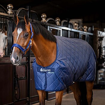 Bucas Cosy Stalldecke