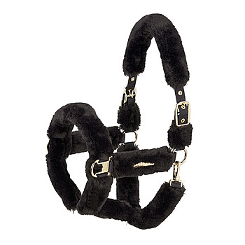 Eskadron Halfter Complete Double Pin