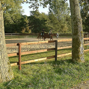 Bildergalerie ZaunReitplatzeinzunung