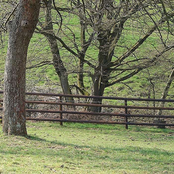 Bildergalerie ZaunHolzzaun mit 4 Riegeln