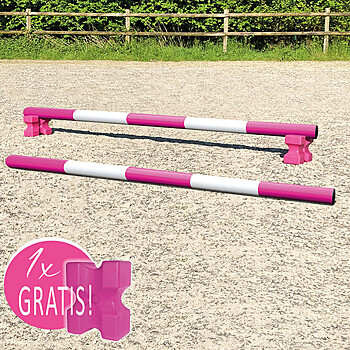 Trabstangen Starter Paket