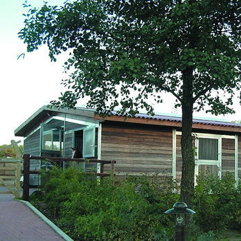 Bildergalerie Stall, Stall mit Stallgasse