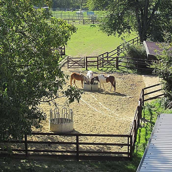 Bildergalerie Stall Offenstall mit Paddock