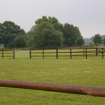 Bildergalerie ZaunKoppelzaun und Montage