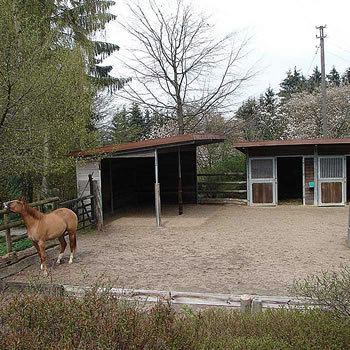 Bildergalerie Stall<BR/>Offenstallanlage mit Paddock