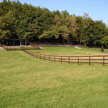 Bildergalerie Zaun Weidezaun und Offenstall